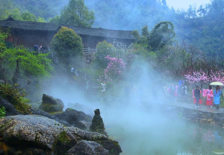 虫虫助手下载