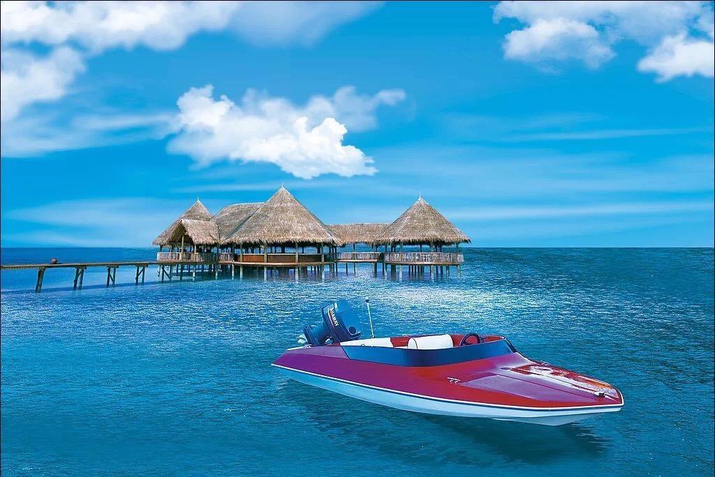 逃离沙地