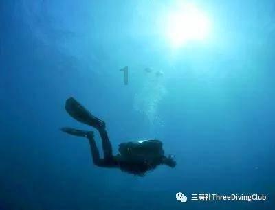逗小猴开心系列183