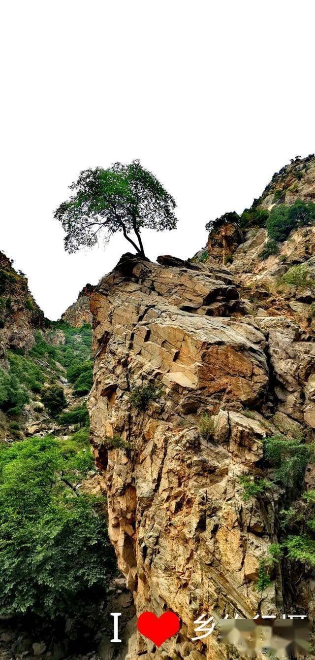 虫虫助手下载