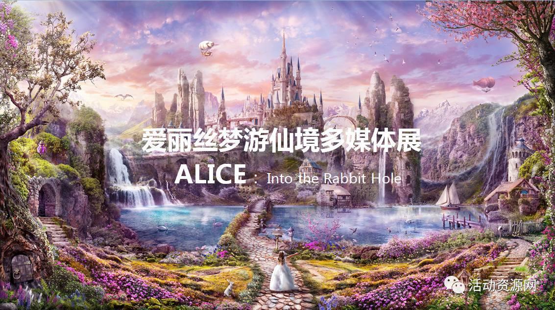 细胞分裂4